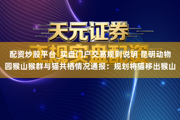 配资炒股平台_实盘门户交易规则说明 昆明动物园猴山猴群与猫共栖情况通报：规划将猫移出猴山